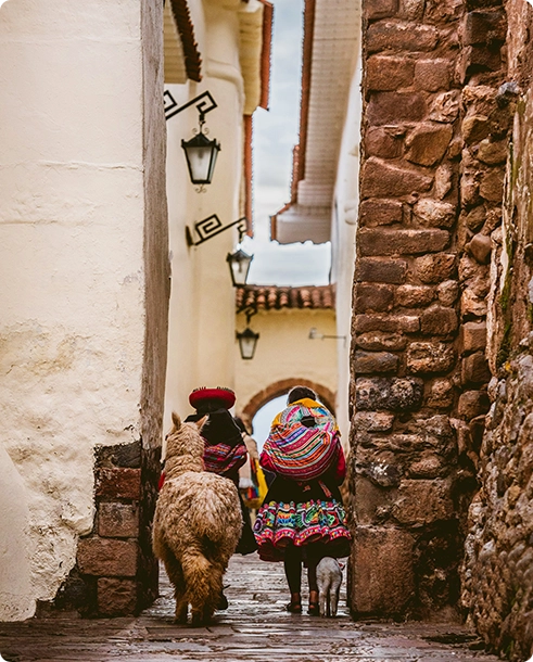 Personas con camélidos en una calle de piedra de Cusco