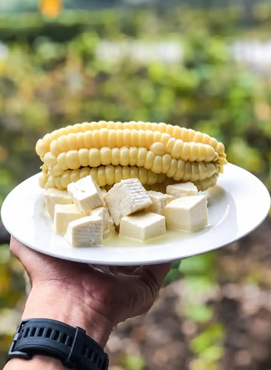 Traditional Cusco corn with Andean cheese served on a white plate and held outdoors against a softly blurred natural background.