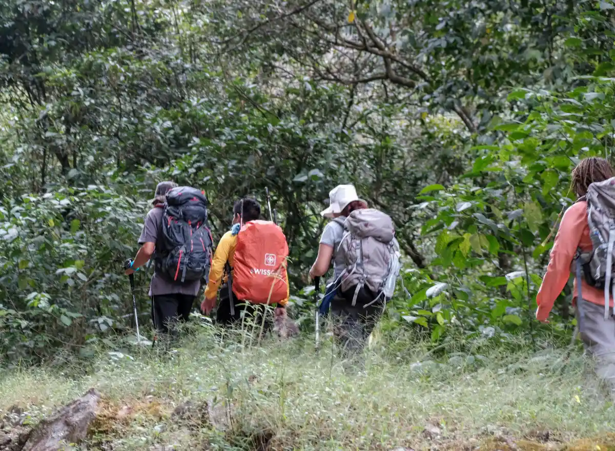 Travelers hiking along a natural trail with backpacks and trekking equipment during a multi-day route.